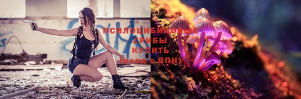 прущие крисы Вязьма