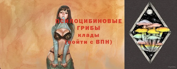 ешки Алзамай