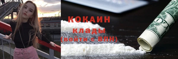 дживик Алексин